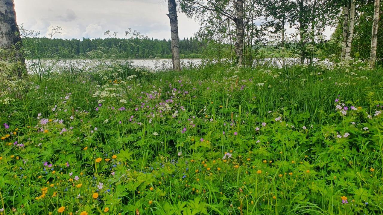 Viihtyisae Kolmio Jaerven Rannalla Haapavesi المظهر الخارجي الصورة